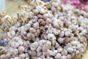 Bunch of garlic on market