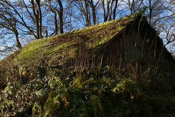 Hütte am Wald