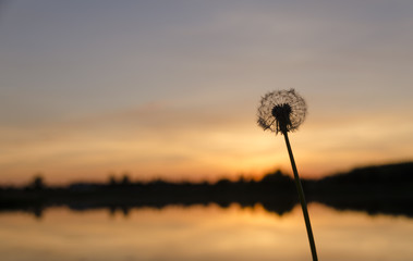 Beautiful  red sunset at lake