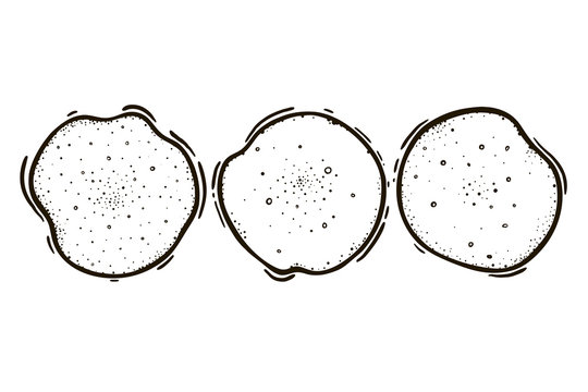 Set of three pancakes. Culinary baking. Vector illustration.