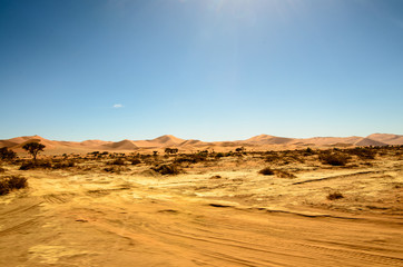 Fototapeta na wymiar Natural beauty of Namibia