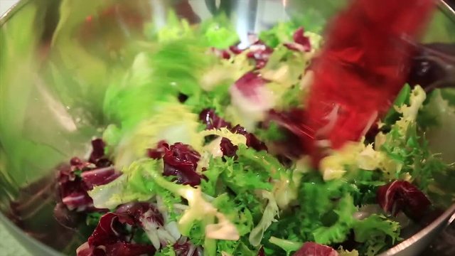 Fresh lettuce salad