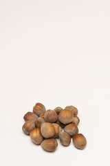 hazelnuts  on a colored background	