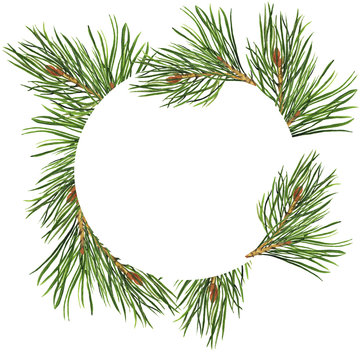 Pine branch circle isolated on white background. Design for logo, greeting card, invitation. Hand drawn watercolor illustration.