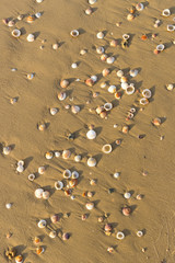 Fototapeta na wymiar Sandy sea beach with rocks and wave
