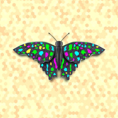 Vector illustration colored butterfly on yellow background.
