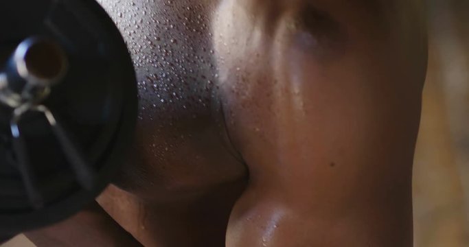   A muscular and sweaty man is training at the gym by lifting the gym weights to strengthen his muscles. Concept of: workout, workout, power, supplements, fitness