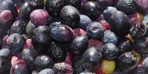 olives noires rouges et vertes 