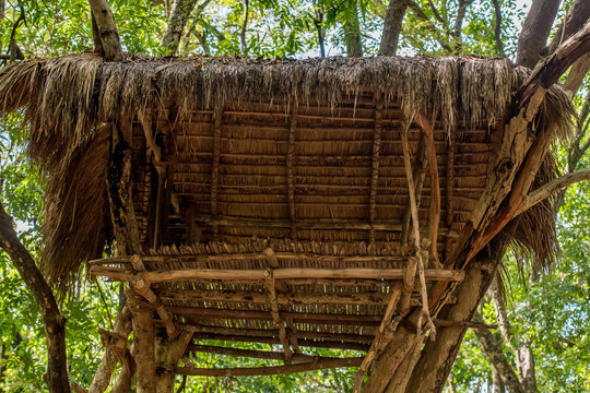 House of vedda people