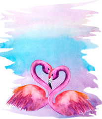 watercolor illustration of two flamingos on a colored background