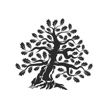 Huge and sacred oak tree silhouette logo badge isolated on white background.