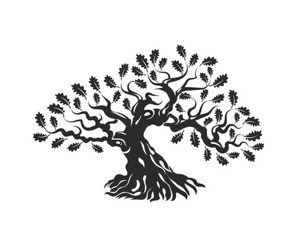 Huge and sacred oak tree silhouette logo badge isolated on white background.