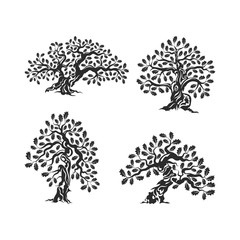 Huge and sacred oak tree silhouette logo isolated on white background.