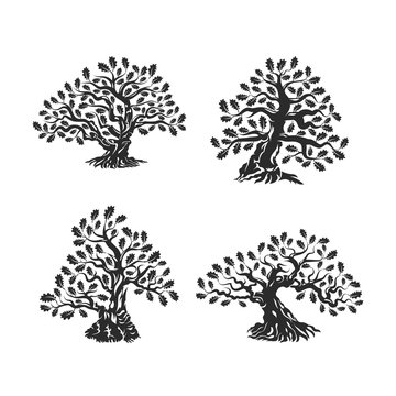 Huge and sacred oak tree silhouette logo isolated on white background