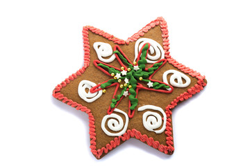 Gingerbread homemade cookie isolated on white background