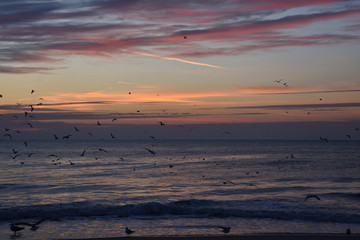 Naklejka premium Sunrise in Myrtle Beach