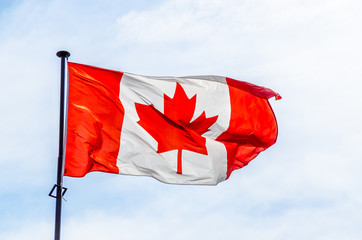 Canadian flag on the blue sky background