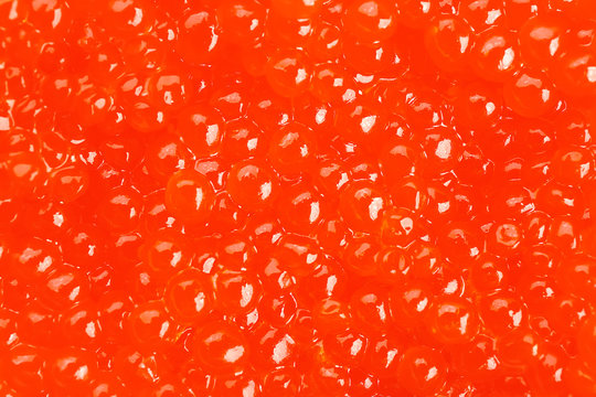 Delicious red caviar, closeup