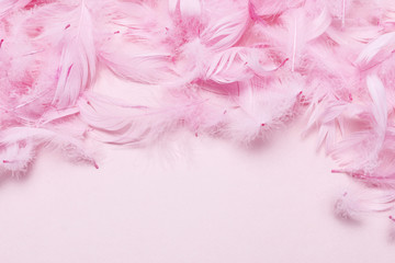 Pink feathers on paper background