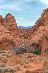 Rock desert in Arizona