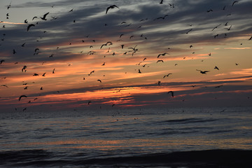 Sunrise on the coast of South Carolina in Myrtle Beach in December