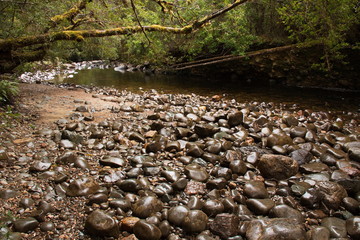 Obraz na płótnie Canvas Pebbles at Franklin River in Tasmania 