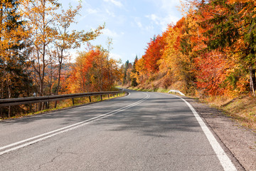 Obraz premium Asphalt road in the forest of autumn season