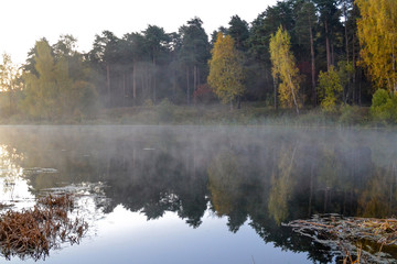 Naklejka na ściany i meble The forest is reflected in the calm blue water of the forest lake. Early morning. Fog over the water.