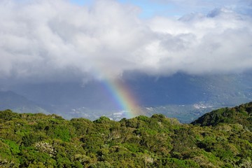 A rainbow over the darker cloud background with green sunlit trees on the foreground