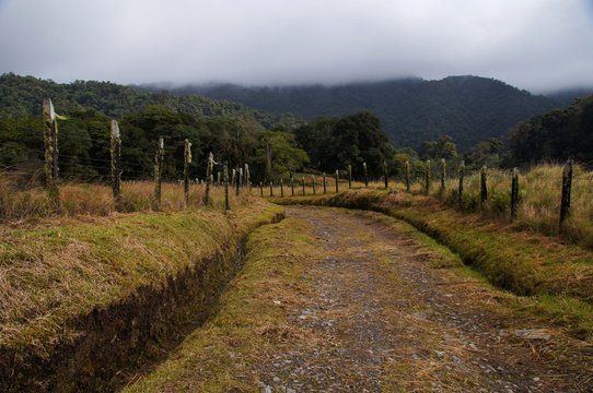 Old unpaved road in rural Panama on a foggy morning