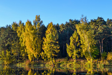 The autumn forest is reflected in the lake. Early morning. Russia