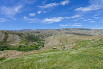 Fototapeta na wymiar Meadow and valley in New Zealand