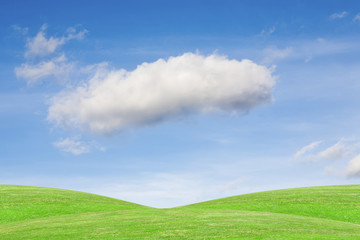Fototapeta premium Ecological green land. Feather cloud on the blue sky, over green meadow - great as a background