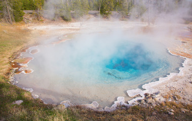 Lower geyser basin