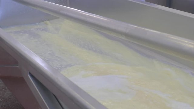 Milk and rennet vat being filled for processing