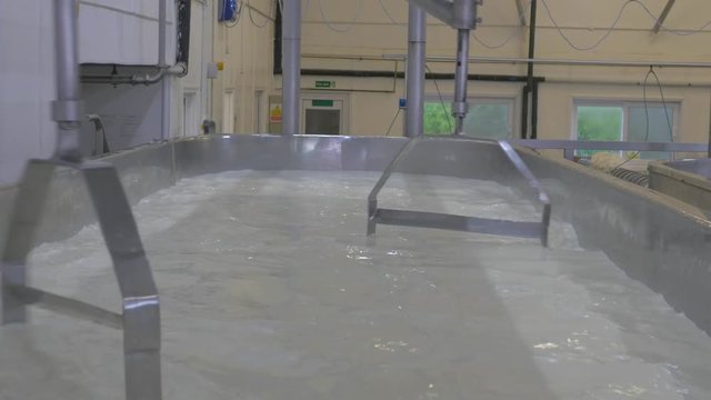 Cheese making vat whisks milk around with rennet to produce cheese