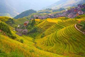 Gordijnen Longji Rice Terraces © swisshippo