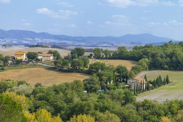 Fototapeta na wymiar Typical Tuscany landscape with cypress
