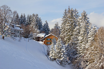 Winter in alps