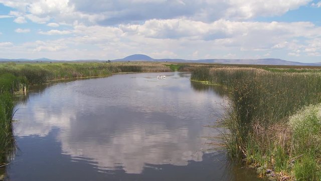 Marsh
