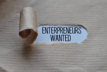 Enterpreneurs wanted - obrazy, fototapety, plakaty