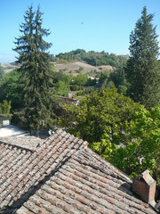 Fototapeta na wymiar View of the hills of Asciano