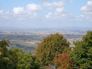 View of the city of Cortona