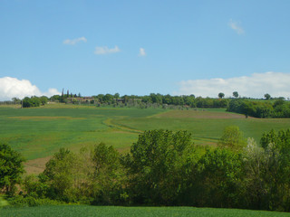 The hills in Siena