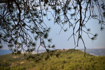 Provence