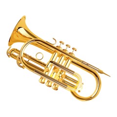Obraz na płótnie Canvas saxophone
