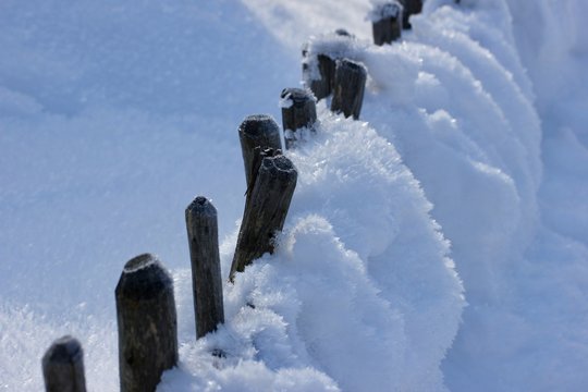 Dunkle Zaunspitzen im frischen, weissen Tiefschnee. Geschenk des Winters f&uuml;r das Auge.