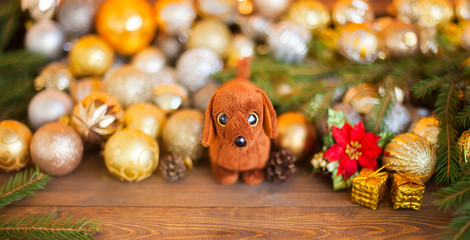 Year of the dog on Horoscope, Christmas decorations.