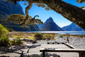 Milford Sound in Fiordland National Park, New Zealand