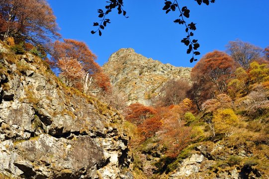 Veddasca Images Browse 50 Stock Photos, Vectors, and Video Adobe Stock